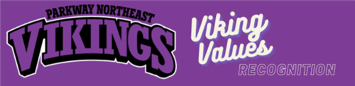 viking values 